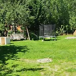 Arnika 3*