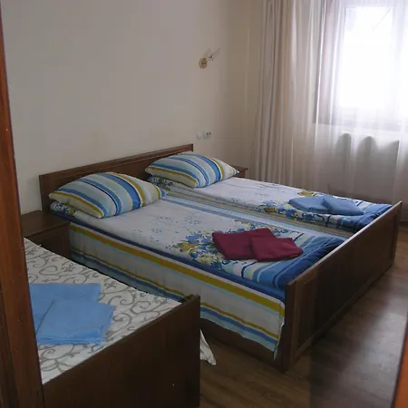 Arnika 3*