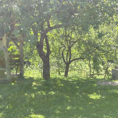 Arnika Guest house 3*