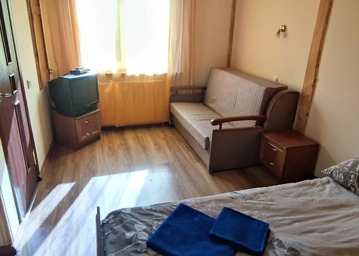 Arnika 3*