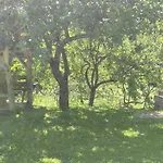 Arnika Pensión 3*