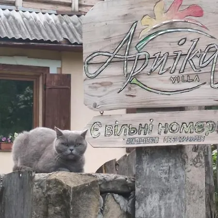 Guest house Arnika Tatariv