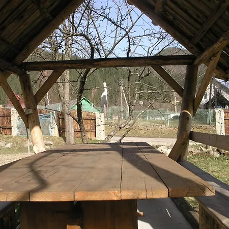 Arnika Konukevi Tatariv