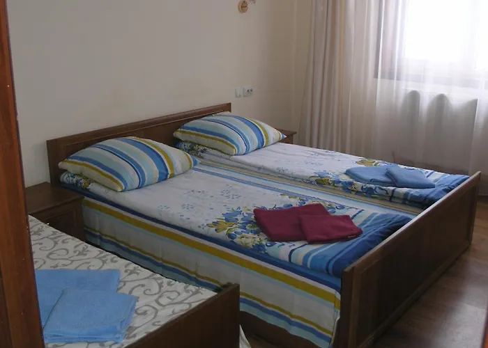 Arnika 3*